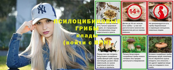 соль курить ск Алзамай