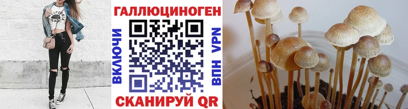 закладки  Егорьевск  Галлюциногенные грибы ЛСД 